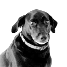 Ivy, Mascotte — B&M Architecture